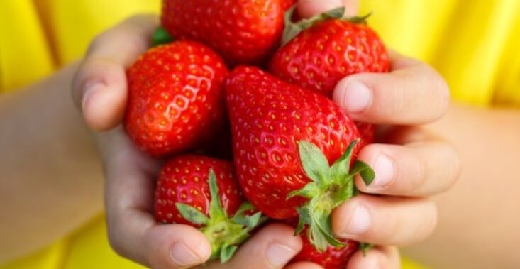 child holding strawberries